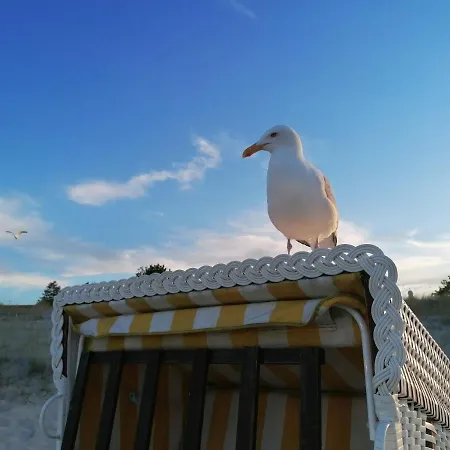 Lejlighed Forum Marinar Heringsdorf (Usedom)